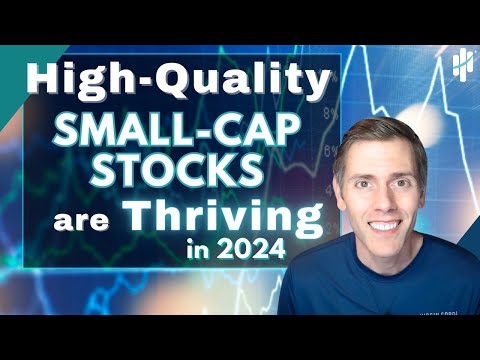 High Quality Small-Cap Stocks Like Core & Main (CNM) Are Thriving in 2024