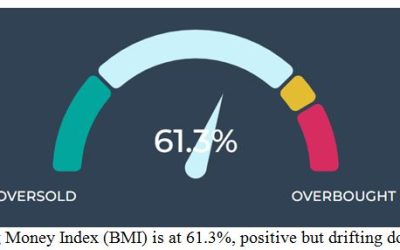11-4-25: What’s Elevating the Stock Market to New Highs?